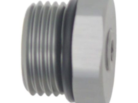 DeatschWerks 10AN ORB Male Plug Fitting with 1 8in NPT Gauge Port - Anodized DW Titanium Cheap